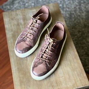 GUCCI Snakeskin Brown Sneaker